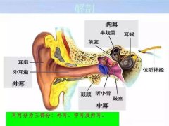 耳朵流脓、听力下降…中耳炎不治疗会变成“中耳癌”?