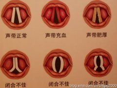 成都治疗声带小结仁品医院电话是多少