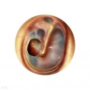 成都耳朵鼓膜穿孔医院哪家最好?